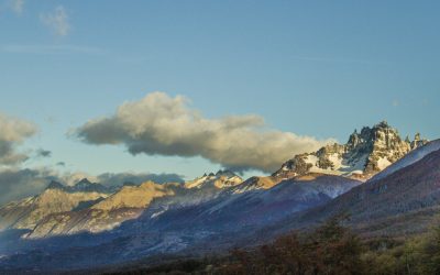 WE ARE OPERATING DURING THE CORONAVIRUS (COVID-19) PANDEMIC